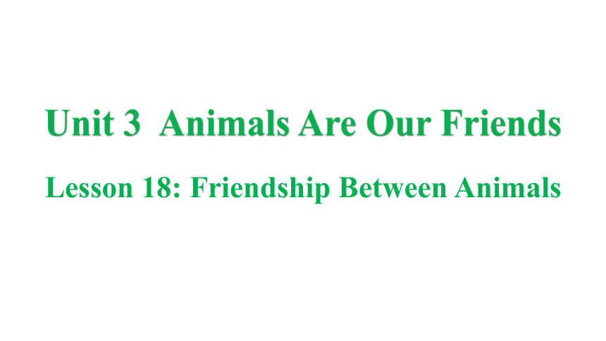 冀教版八年级下册Unit 3 Animals Are Our Friends Lesson 18 Friendship Between Animals课件(共39张PPT)