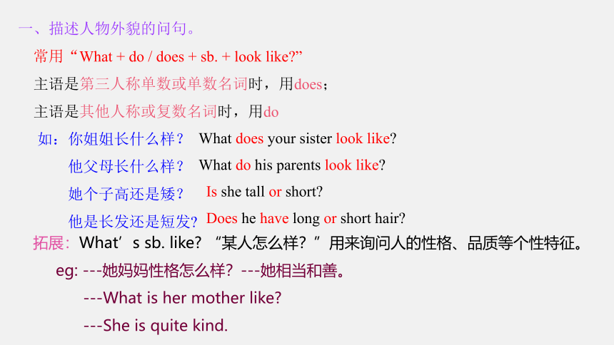 Unit 9 What does he look like? Section A Grammar focus 3a—3d课件(共23张PPT) 2023-2024学年人教版英语七年级下册