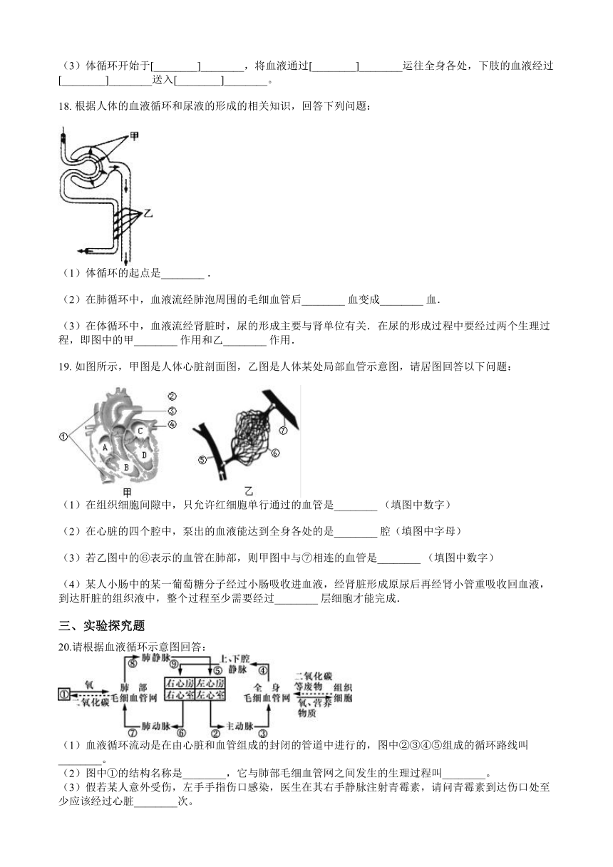 4.3《体内物质的运输》综合练习（含答案）