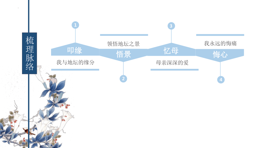 15.《我与地坛（节选）》课件(共41张PPT)  2023-2024学年统编版高中语文必修上册