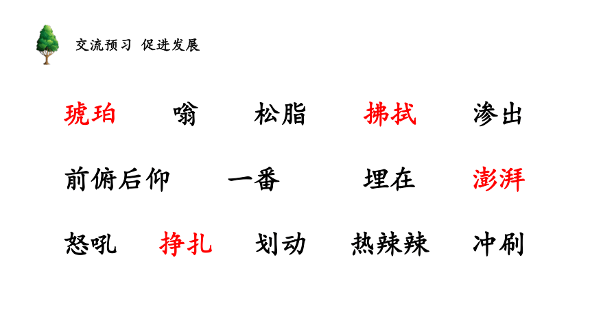 5.琥珀 课件（24张）