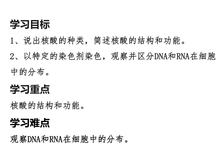 人教版生物高中必修1第三节：遗传信息的携带者---核酸（共31张PPT）