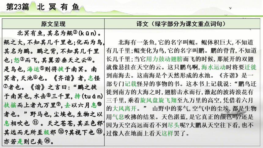 2024年中考语文备考文言文梳理与迁移训练 -《北冥有鱼》课件(共21张PPT)