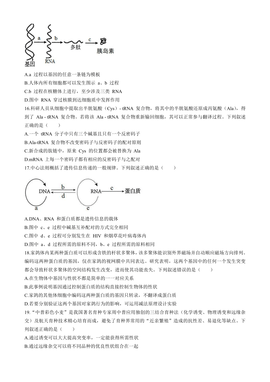 山东省济南市重点高中2023-2024学年高一下学期5月期中考试 生物（含答案）