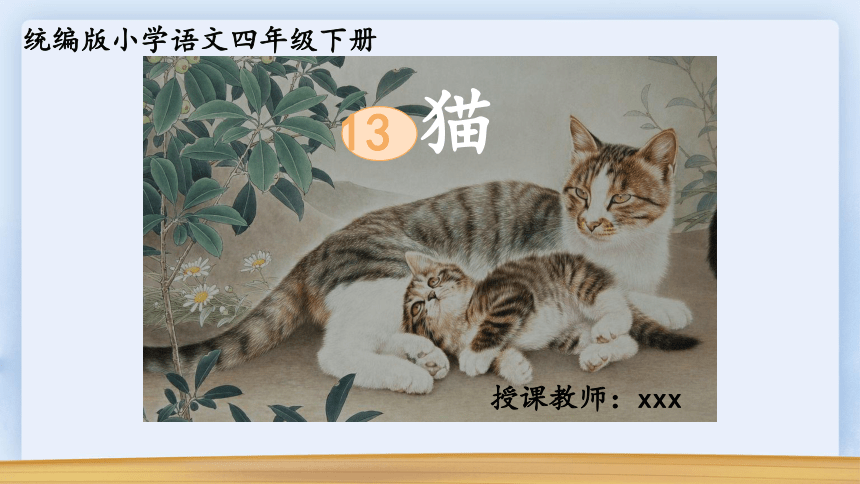 13 《猫 》课件(共48张PPT)