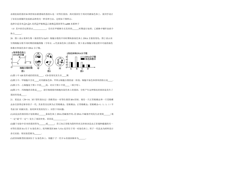 5.1基因突变和基因重组  练习（含解析）-2023-2024学年高一下学期生物人教版必修2