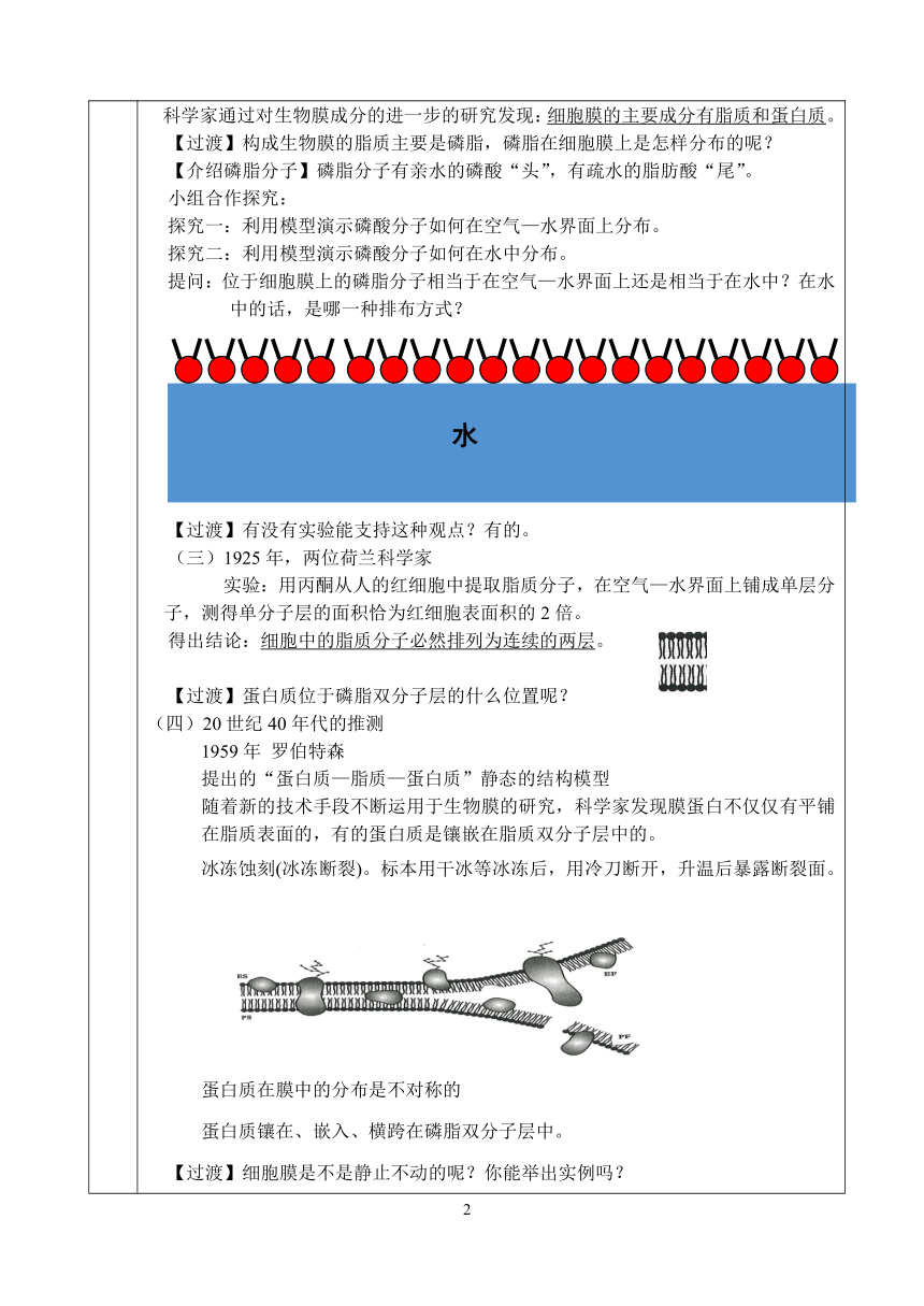 新人教版必修1生物4.2《生物膜的流动镶嵌模型》教案