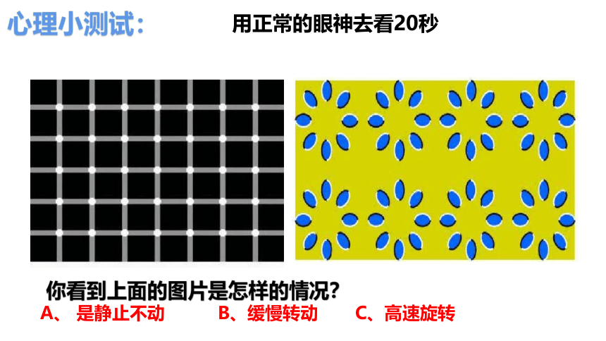 （核心素养目标）6.1学无止境教学课件(共23张PPT)+内嵌视频