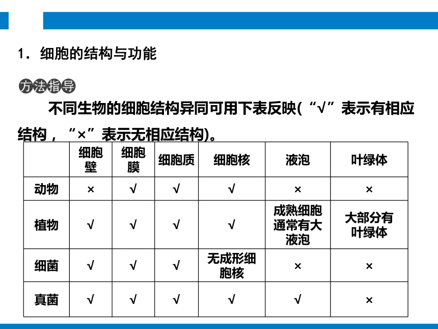 2024浙江省中考科学复习 第2讲　生物体的结构和层次（课件 48张PPT）