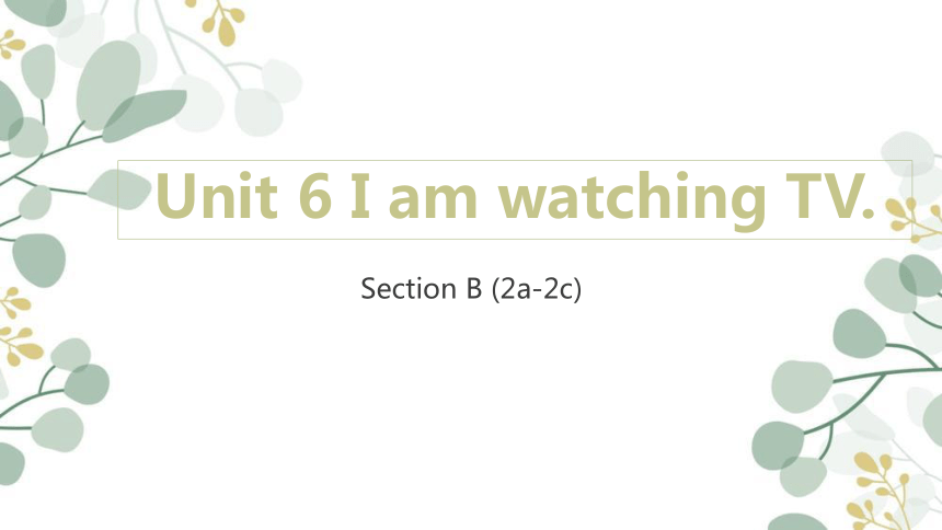 人教版七年级下册Unit 6 I’m watching TV. Section B (2a-2c)Reading.课件