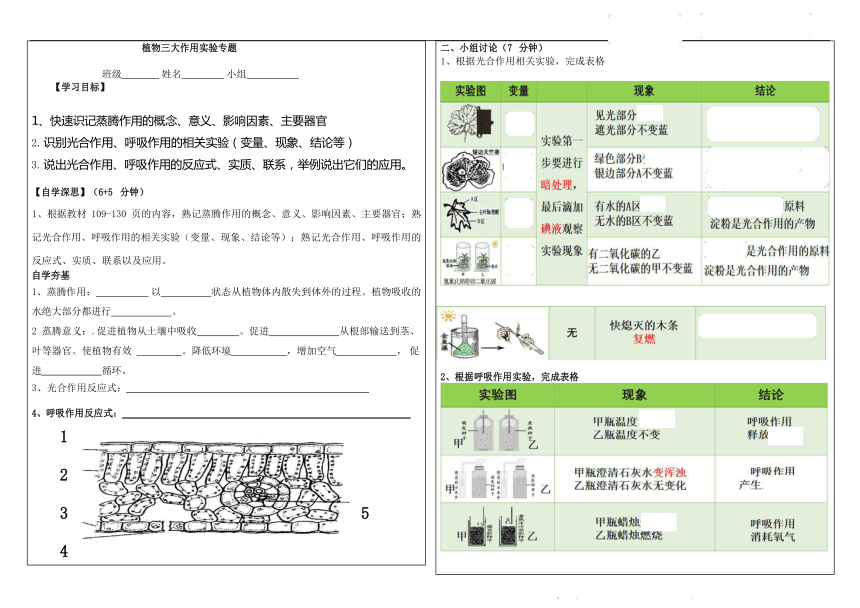 绿色植物三大作用实验专题导学提纲（表格式）2023-2024学年人教版生物七年级上册