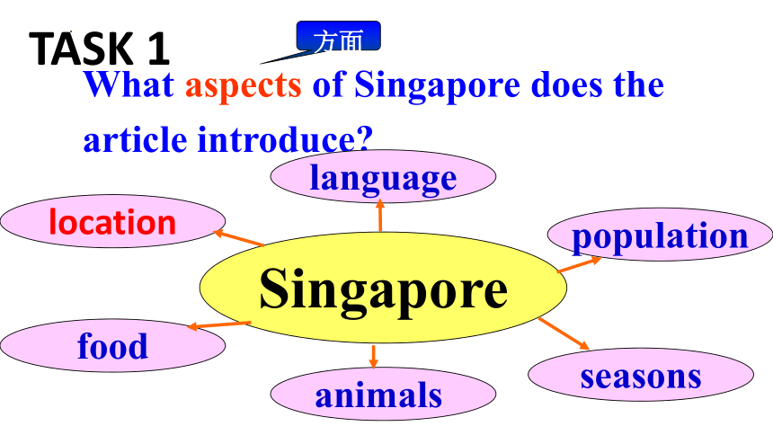 Unit 9 Have you ever been to a museum?Section B（2a-2e）课件 2023-2024学年人教版英语八年级下册 (共25张PPT)