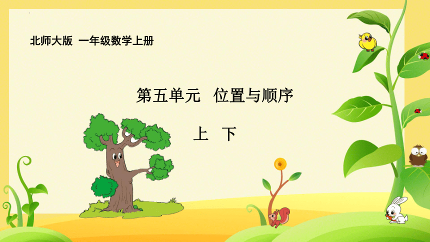 北师大版小学数学一年级上册 5.1《上下》课件(共15张PPT)