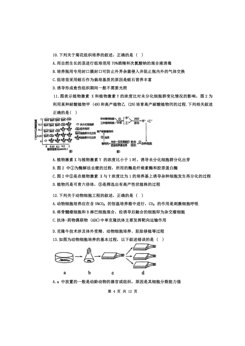 天津市南开中学滨海生态城学校2023-2024学年高二下学期期中检测生物学试卷（含答案）