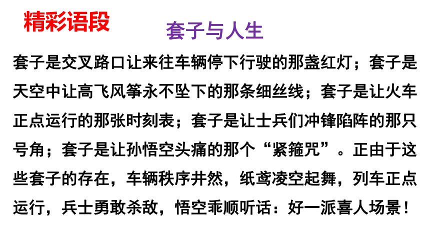 13-2《装在套子里的人》课件（共30张PPT） 2023-2024学年统编版高中语文必修下册