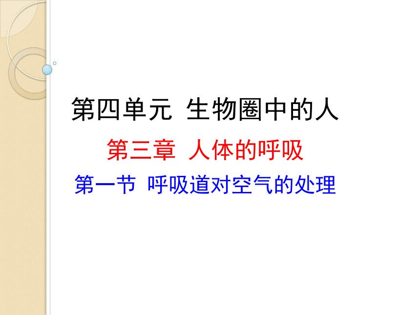 人教版七年级下册4．3．1呼吸道对空气的处理课件 （共19张PPT）