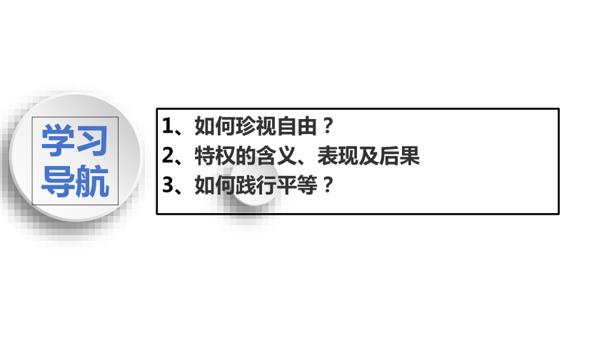 7.2 自由平等的追求 课件(共24张PPT)-2023-2024学年统编版道德与法治八年级下册