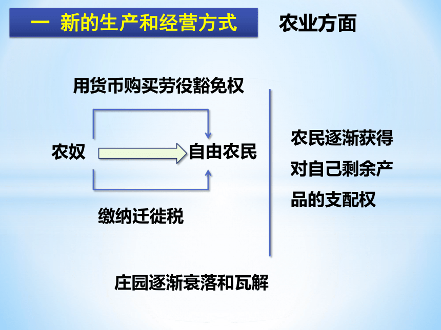 第13课 西欧经济和社会的发展   课件(共27张PPT)