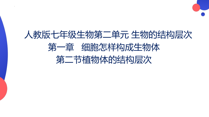 2.2.3 植物体的结构层次课件(共22张PPT)2023--2024学年人教版生物七年级上册