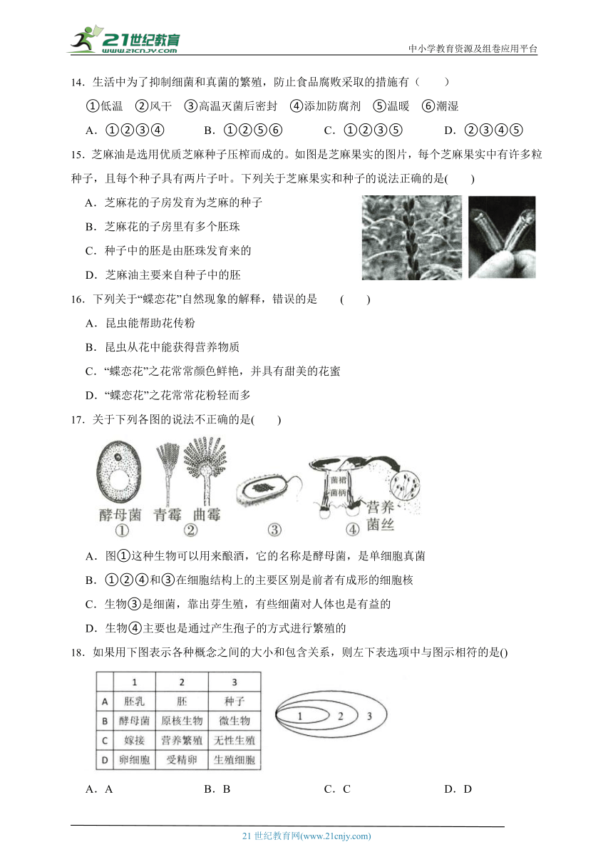 2023-2024学年华师大版科学七年级下第七单元质量检测卷（含答案）