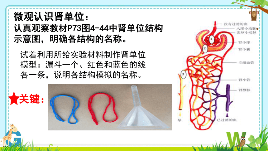 第四单元第五章 人体内废物的排出 课件(共27张PPT＋内嵌视频1个)人教版七年级下册生物