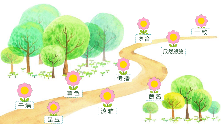 13《 花钟》 课件(共49张PPT)