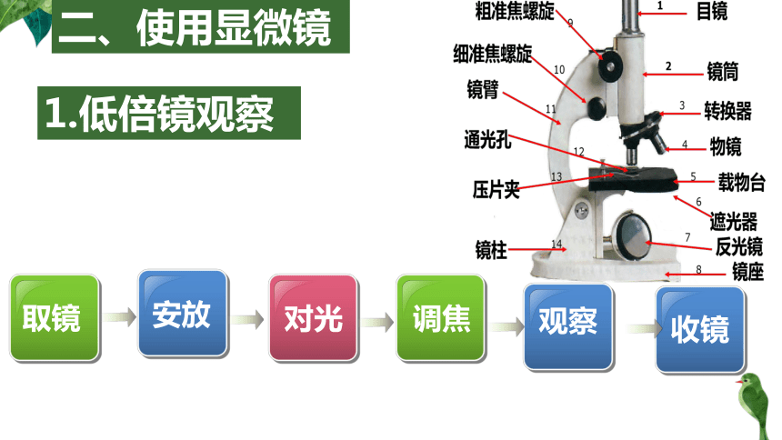 2020一轮复习 显微镜的使用包括练习题 （27张PPT）