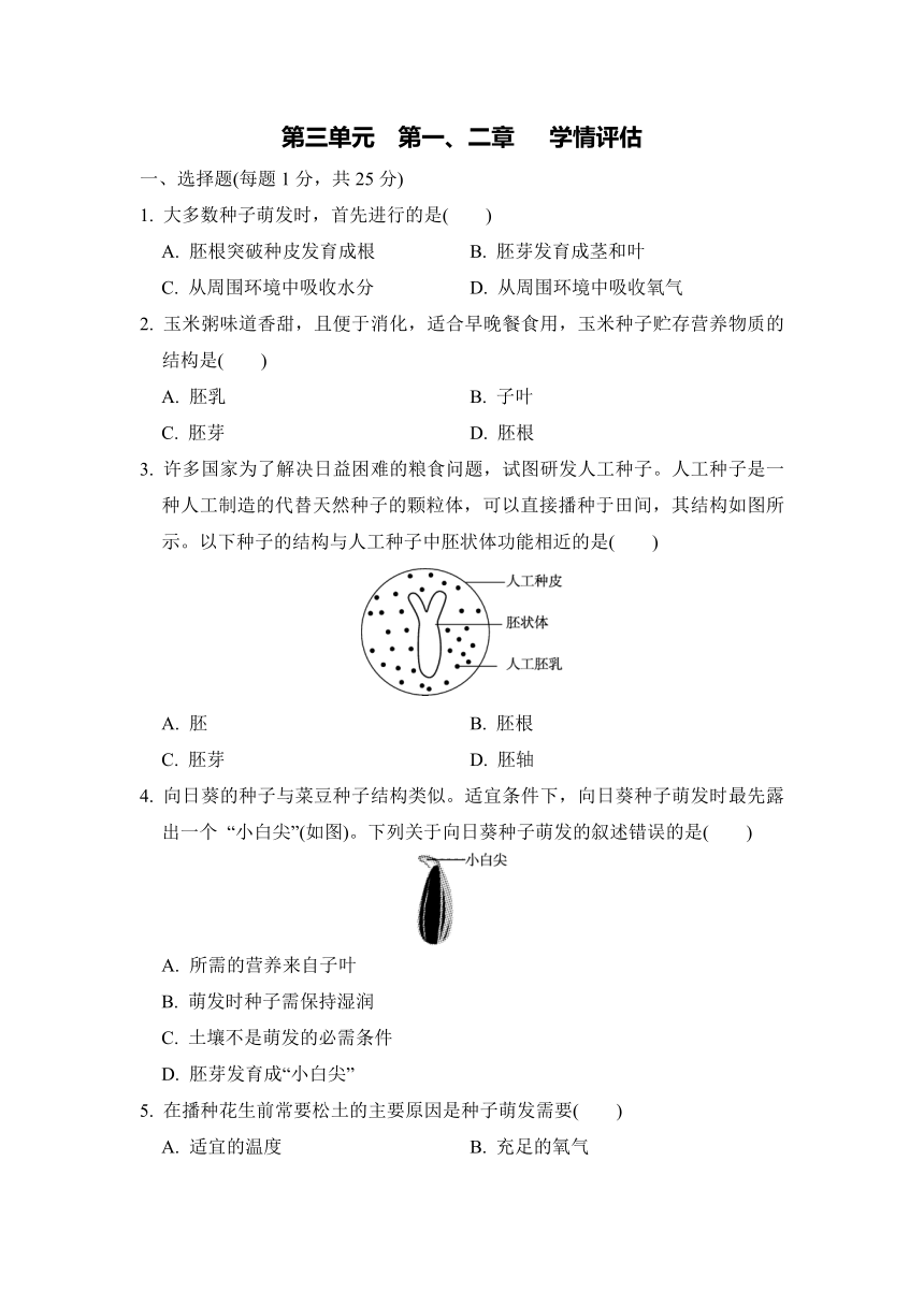 第三单元  第一、二章根的吸收作用   学情评估卷（含答案）冀少版生物八年级上册