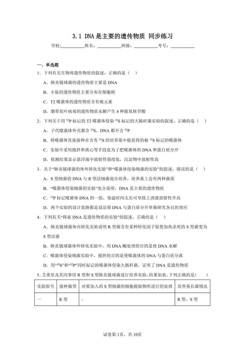 3.1DNA是主要的遗传物质同步练习（含解析）2023——2024学年高生物人教版（2019）必修2遗传与进化