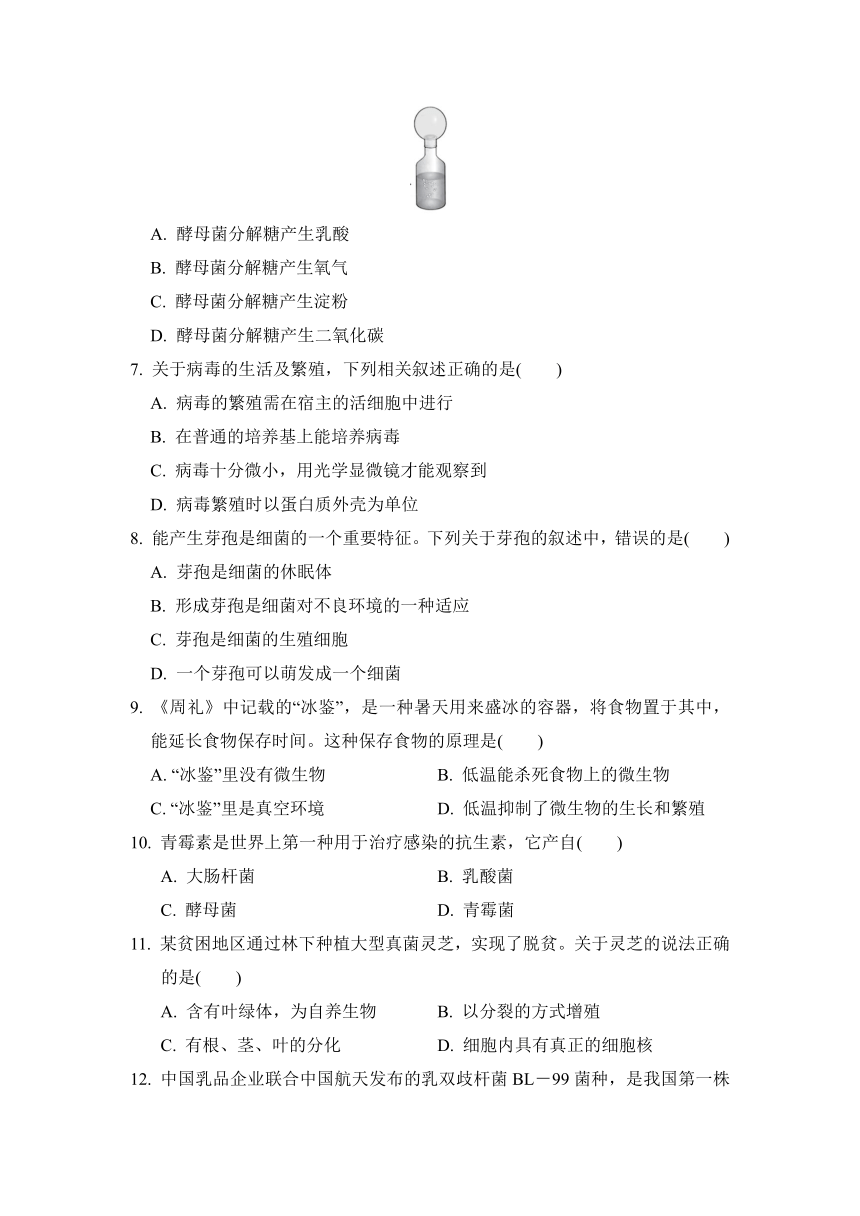 第五单元  学情评估卷（含答案）冀少版生物八年级上册