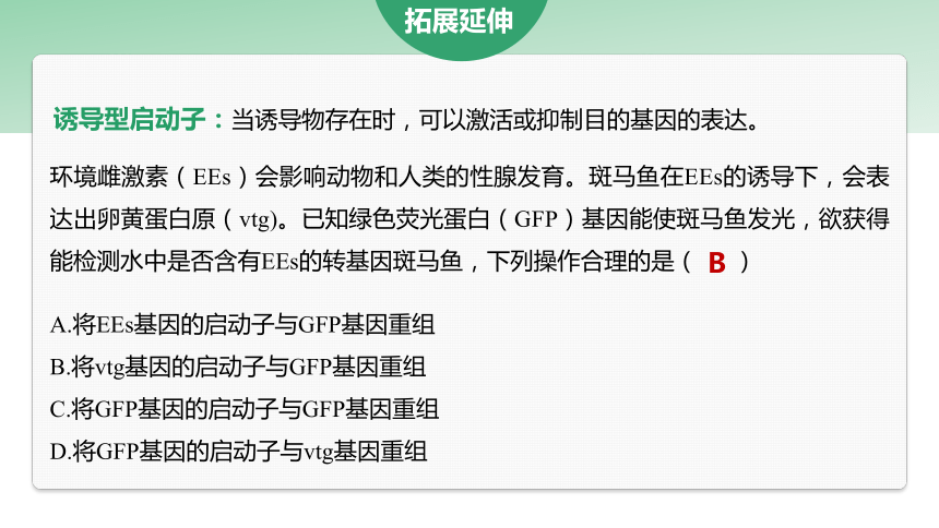 3.2.基因表达载体的构建课件(共23张PPT)-2023-2024学年高二下学期生物人教版（2019）选择性必修3