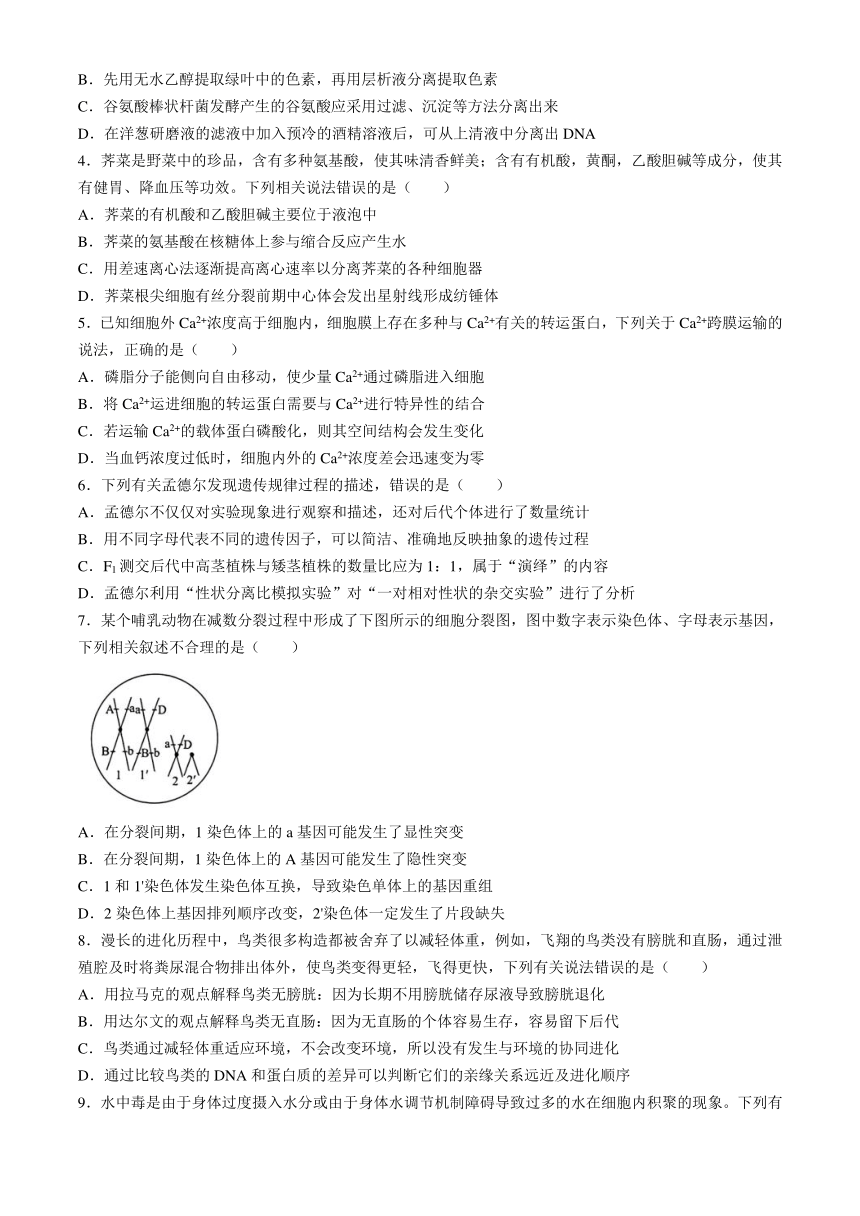 2024届河北省邯郸市部分示范性高中三模生物试题（含解析）