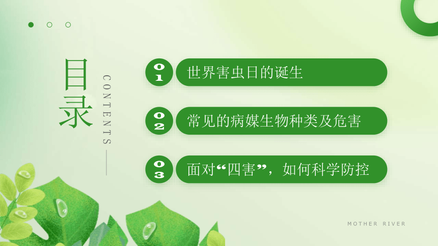 6月6日世界害虫日——  控制虫害、保护健康 课件(共17张PPT) 小学班会