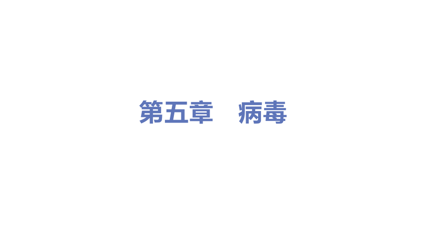 人教版生物八年级上册5.5病毒课件（22张PPT)