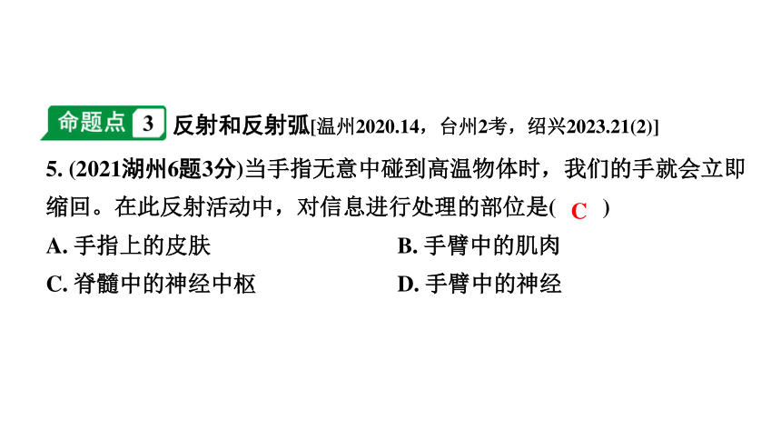 2024浙江中考生物二轮中考考点研究 第8讲 生命活动的调节  课件 (共64张PPT)