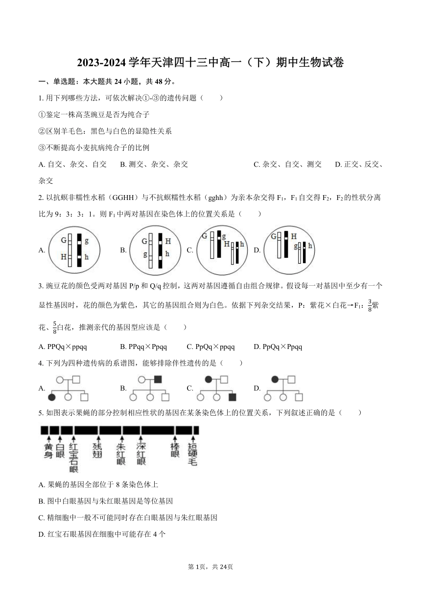 2023-2024学年天津四十三中高一（下）期中生物试卷（文字版含解析）