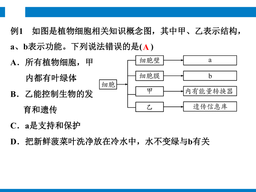 2024浙江省中考科学复习 第2讲　生物体的结构和层次（课件 48张PPT）