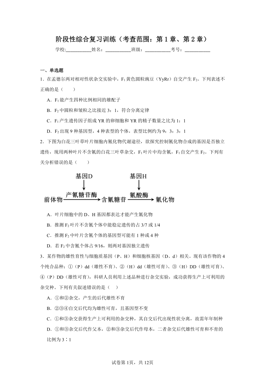 阶段性综合复习训练（考查范围：第1章、第2章）（含解析）2023——2024学年高生物人教版（2019）必修2遗传与进化