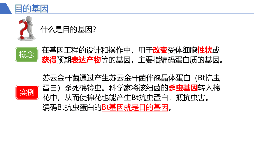 3.2.1基因工程的基本操作程序课件-(共41张PPT)人教版选择性必修3