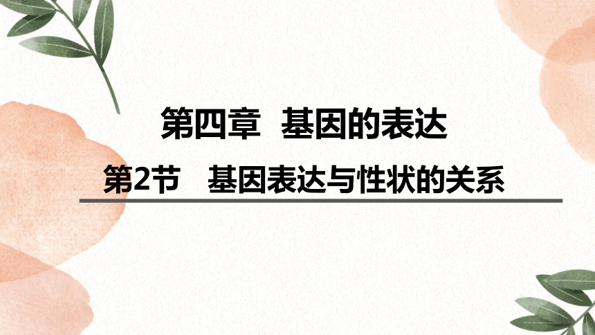 4.2 基因表达与性状的关系课件(共67张PPT)-2023-2024学年高一下学期生物人教版（2019）必修2