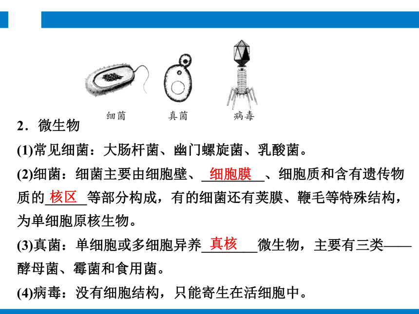 2024浙江省中考科学复习 第1讲　生物的分类（课件 54张PPT）