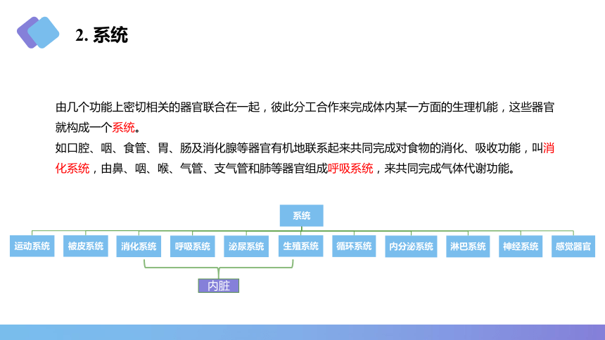 1.4器官、系统和有机体 课件(共15张PPT)《畜禽解剖生理学》同步教学（中国农业出版社）