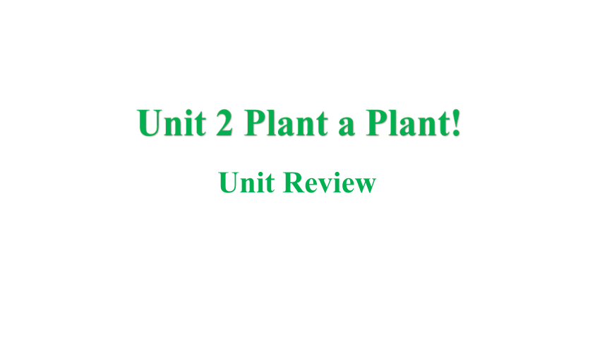 冀教版八年级下册Unit 2 Plant a Plant Unit Review课件(共30张PPT)