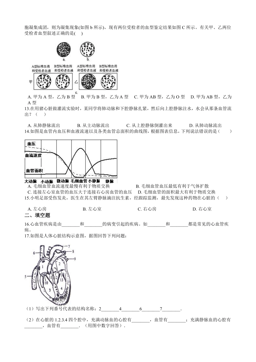 4.3《体内物质的运输》综合练习（含答案）