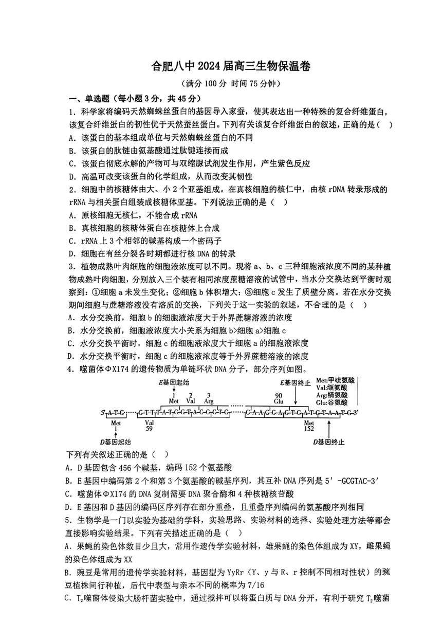 2024届安徽省合肥八中高三保温（一模）生物试题（pdf版无答案）