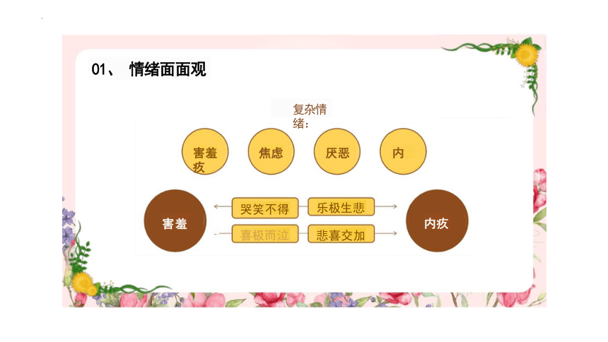 4.1 青春的情绪 课件(共22张PPT)-2023-2024学年统编版道德与法治七年级下册