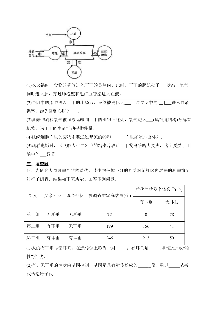 2024届湖北省中考生物模拟五月冲刺卷 (含解析)【湖北专用】