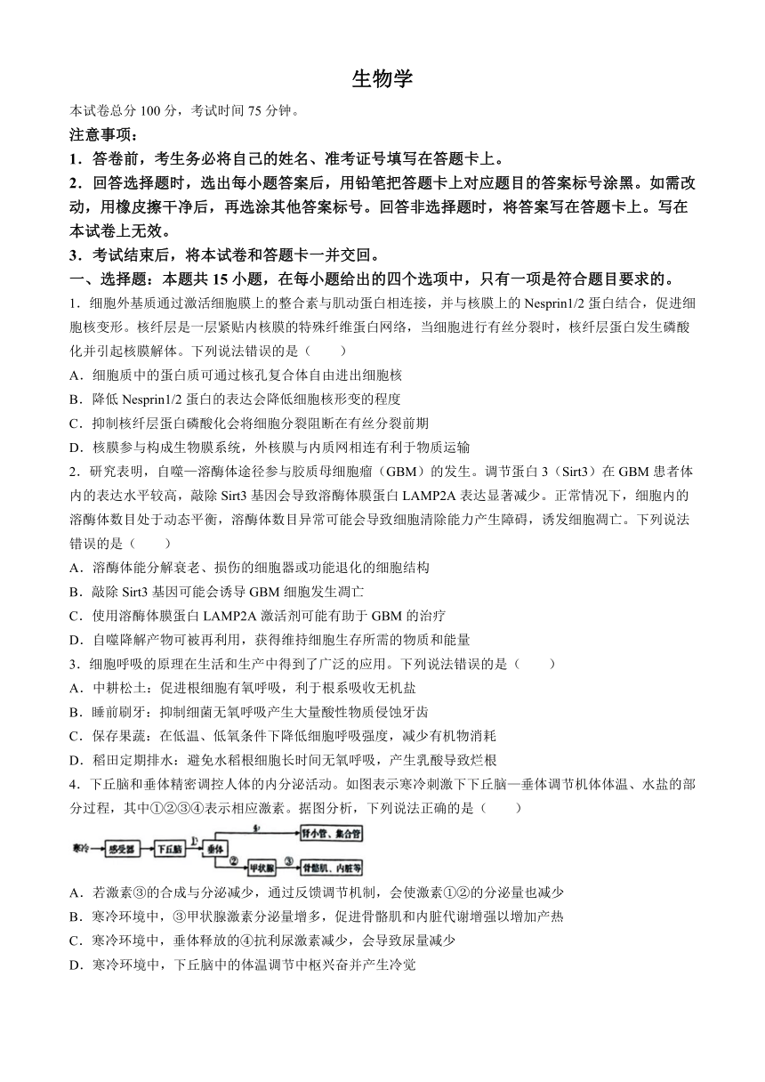 2024届重庆市荣昌区重荣昌仁义中学校高三下学期模拟预测生物试题（含答案）