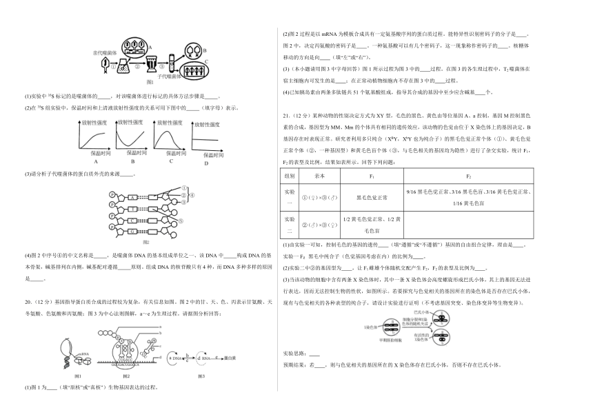 江西省上饶艺术学校2023-2024学年高一下学期生物5月测试卷（含解析）