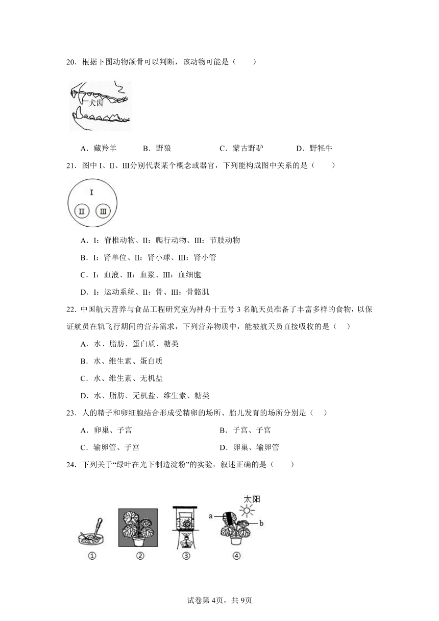 初中生物学2024生物河北中考模拟样卷 (1)（含解析）